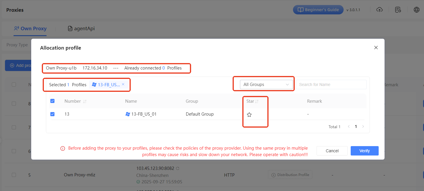 Step 2: Bind proxy IP to environment