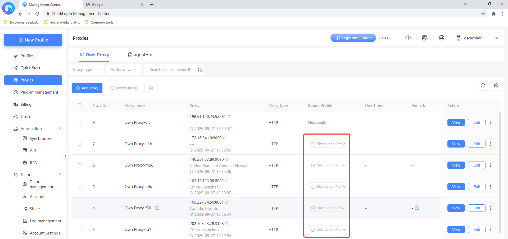 Step 2: Bind proxy IP to environment